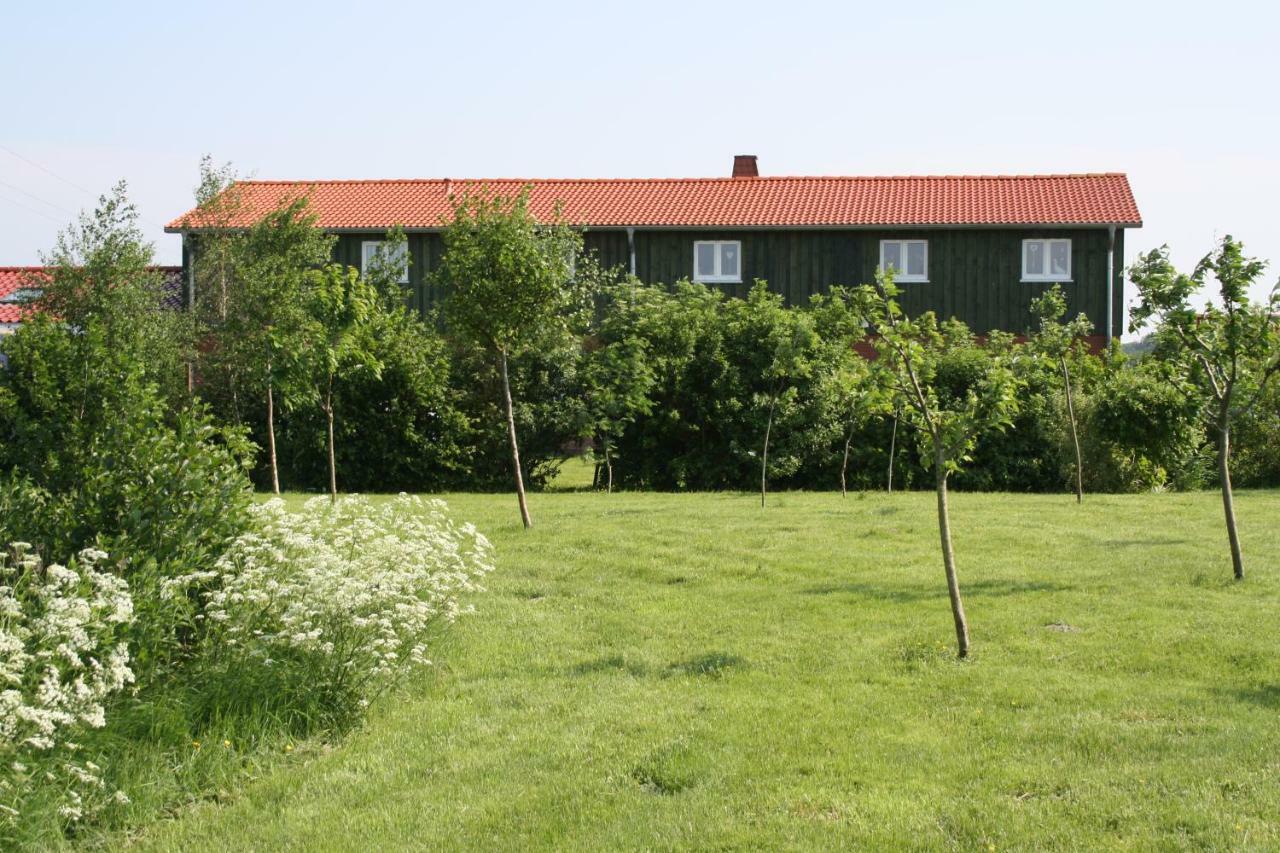 " Haus Zwischen Den Meeren " Strubbel 外观 照片